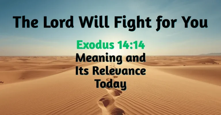 Minimal desert path with golden light on the horizon, symbolizing Exodus 14:14 — The Lord will fight for you, be still and trust God