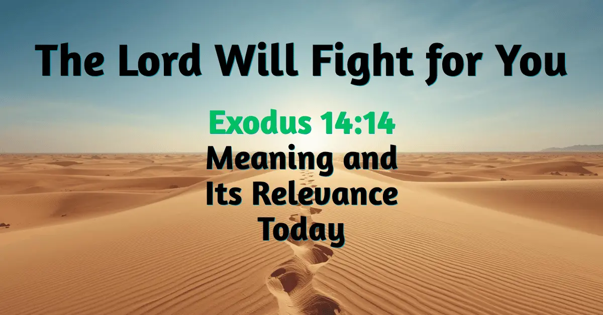 Minimal desert path with golden light on the horizon, symbolizing Exodus 14:14 — The Lord will fight for you, be still and trust God