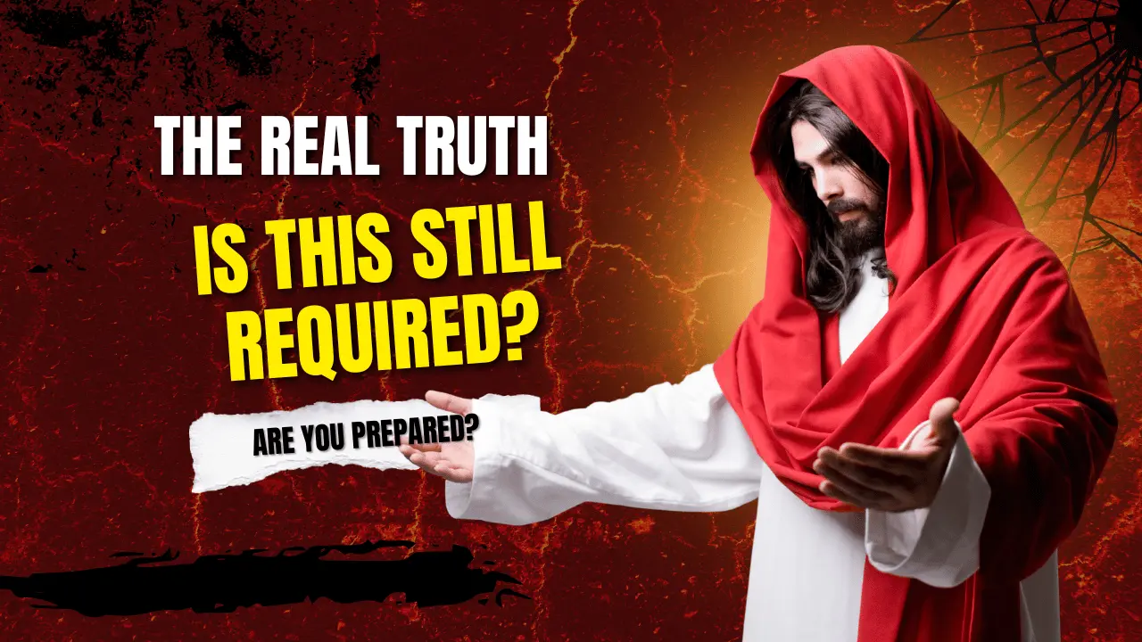 Christians honor God’s Law through a life shaped by the Holy Spirit. Instead of relying on external rules