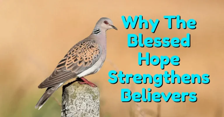 Sunrise over the sea with an open Bible and glowing light representing the Living Hope, Blessed Hope, and Hope of Glory from the Bible