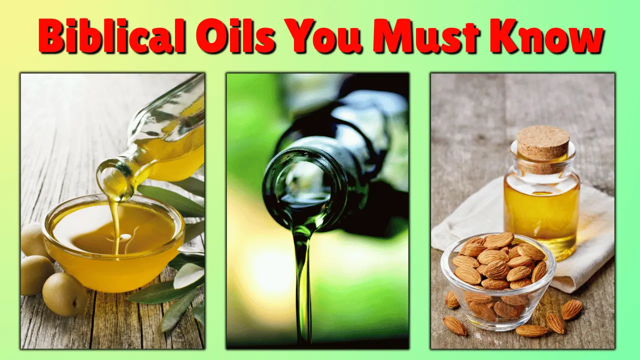 Ancient-style oil bottles representing the seven oils mentioned in the Bible.