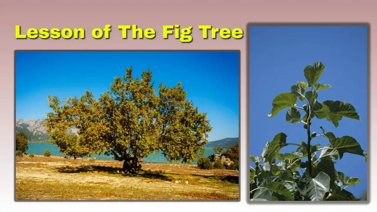 The parable of the fig tree is often used to support timelines, charts, or speculation