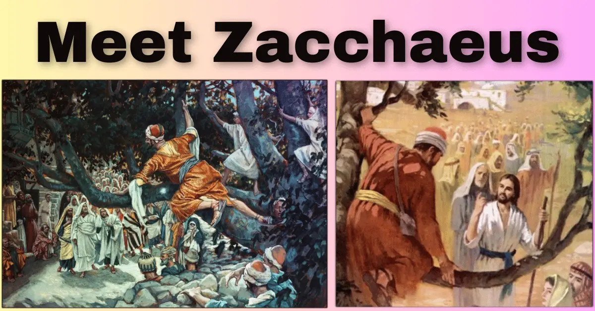 Meet Zacchaeus: Short, Dishonest Tax Collector Who Found Christ