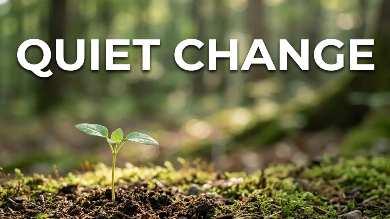 Plant growing symbolizing spiritual growth and deeper faith