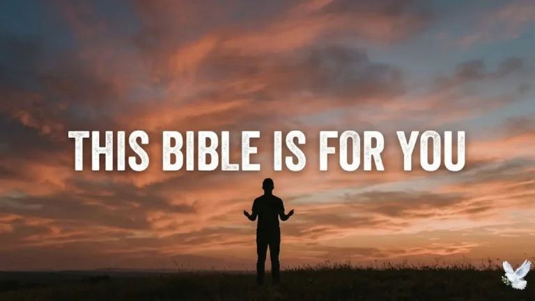 Which Bible is better, NLT or NIV? Discover the truth and choose the right one easily.